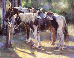Tied to the Hitching Post by Western
