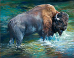 Buffalo Stream by Animals