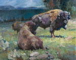 Springtime Buffalo by Animals