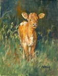 Longhorn Calf by Animals
